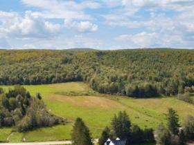 Newport (Estrie) : Terre à bois de 98 acres, forêt mixte, idéal pour la chasse, chemin forestier, pâturages