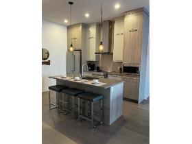 CONDO EN MONTAGNE SKI-BIKE IN, SKI  BIKE OUT A LOUER A BROMONT