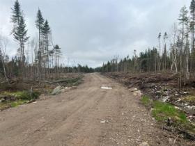 Ste-Apolline-de-Patton (Chaudière-Appalaches) : Terre à bois de 353 acres, vaste territoire de chasse, coupe de bois