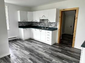 logement  4 1/2 + sous sol non fini