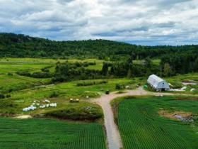 Laurentides (Grenville-sur-la-Rouge), 130 acres dont 70 acres drainés cultivables + 50 acres boisés), grange, aménagement pour bovins, près autoroute 