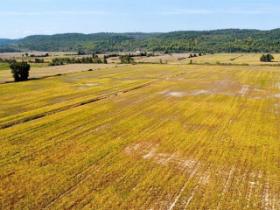 Fassett (Outaouais) : Terre cultivable de 98,57 acres drainée à 50 %, loam argileux