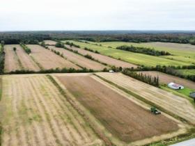 Ste-Cécile-de-Milton (Estrie): Ferme de 103 acres, 59 acres cultivable, potentiel acéricole, grange et hangar
