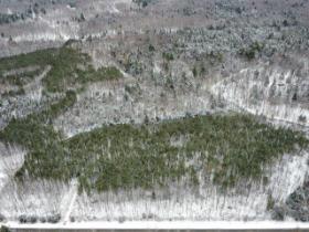 St-Lucien (Centre-du-Québec) : Terre à bois de 21 acres avec droit de construction, plantations, sentiers