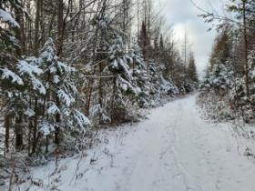 Terrain