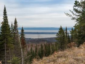 Terrain