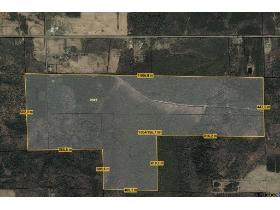 Terre à bois 262 Acres Cookshire Eaton
