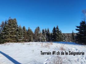 Terrain