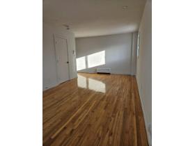 1 CH - 1 SDB - Montréal - $1,495 /mo