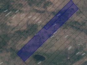 Saint-Élie-de-Caxton (Mauricie) : Terre à bois de 42 acres pour coupe forestière et chasse 