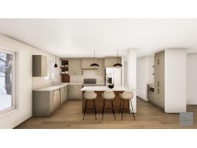 Appartement luxueux et lumineux 4 1/2 + et 5 1/2 