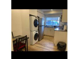 1 CH - 1 SDB - Montréal - $1,335 /mo