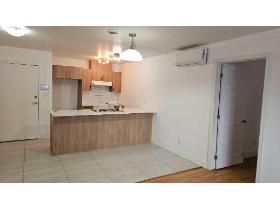 ***APPARTEMENT RÉNOVÉ 4 1/2 SEMI-RETRAITÉ ET RETRAITÉ À LOUER***