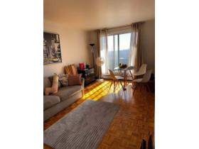1 CH - 1 SDB - Montréal - $1,195 /mo