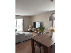 Beau grand logement 4 ½ (2 chambres) - Appartement à louer St-Nicolas