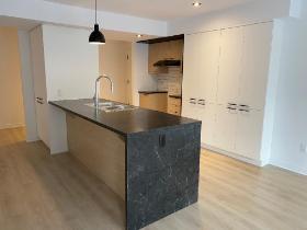 Logement 4 1/2 - 1er juillet - Saint-Jérôme
