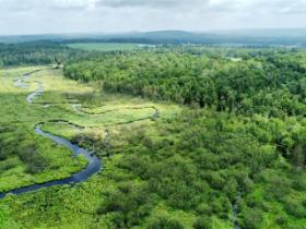 Ste-Anne-de-la-Rochelle (Estrie) : Terre à bois de 53 acres avec ruisseau, ancienne scierie, potentiel acéricole
