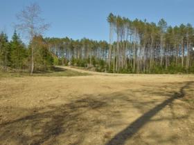 Terrain