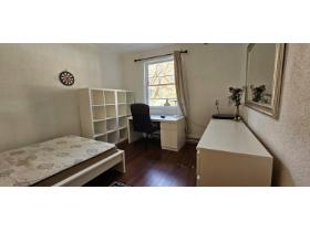 Studio - Montréal - $900 /mo