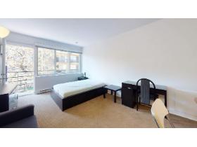 Studio - Montréal - $1,295 /mo