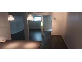 ANJOU   GRAND  3 1/2 STYLE LOFT  TOUT OUVERT   RÉNOVÉ