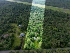 Terrain
