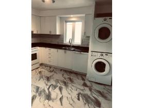 4 1/2 à louer  Boul Rosemont / Cadillac Internet et 6 électros inclus