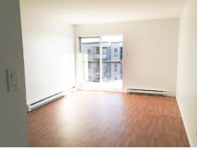 BEAU GRAND 3 ½  RÉNOVÉ, SECTEUR PAISIBLE, 1035$/MOIS TOUT INCLUS, DISPONIBLE À PARTIR DE JUIN OU JUILLET