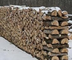 VIDAL BOIS de chauffage - Le bois de chauffage en 2 mètres de long