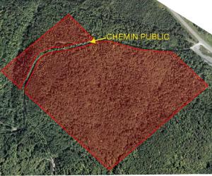 Terrain boisé à vendre (Secteur St-Jacques) — photo 1