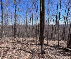 329 Chemin de Blue Hills, Morin-Heights, QC, Canada — photo 3