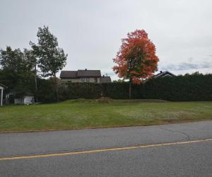 48 Rue Trottier, Victoriaville, QC, Canada — photo 1