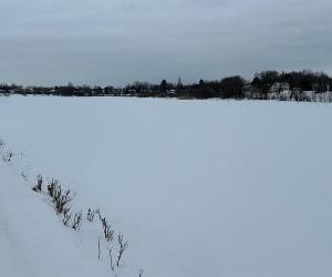 Petite terre agricole, idéal pour projets agricoles et plantations, Roxton Falls, Estrie Montérégie — photo 2
