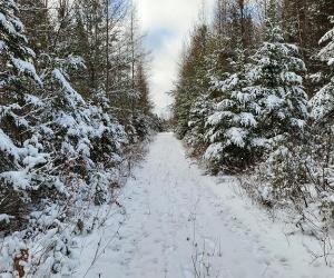 Terrain — photo 2