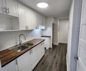 260 Rue Jetté — photo 3