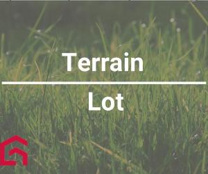 Terrain — photo 1
