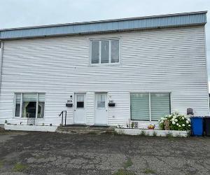 253 257 Av. Desjardins — photo 1