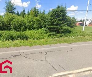 Terrain — photo 1