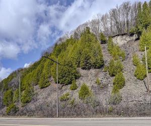 Terrain — photo 1