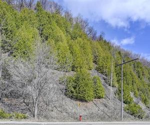 Terrain — photo 2