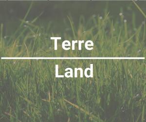 Terrain — photo 1