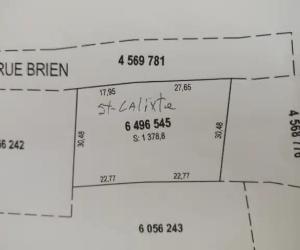 Très beau terrain boisés a vendre , rue Brien entre le 195 et le 215 a Saint Calixte .zonage ,résidentielle intergénérationnel — photo 2