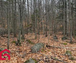 Terrain — photo 2