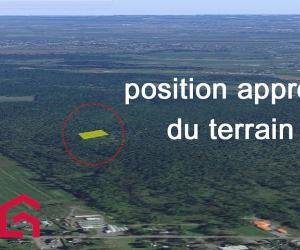 Terrain — photo 3