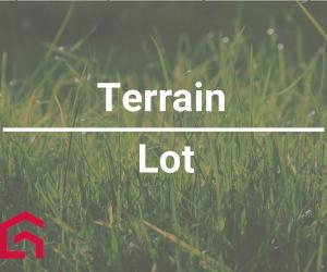 Terrain — photo 1