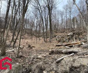 Terrain — photo 2