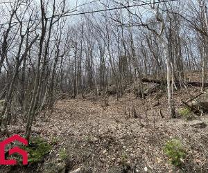 Terrain — photo 3