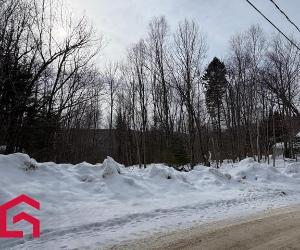 Terrain — photo 1