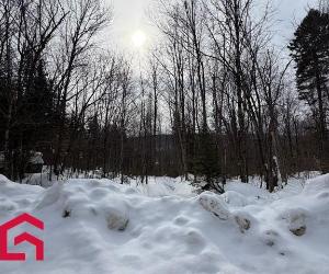 Terrain — photo 2