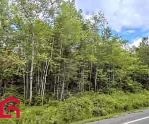 Terrain — photo 2